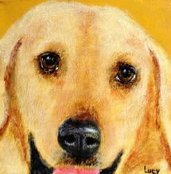 Heidi Ledbetter Lucy